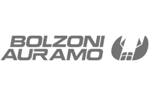 Bolzoni Auramo logo.