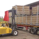 Combilift Combi-RT Rough Terrain Forklift lifting pallets onto truck trailer.