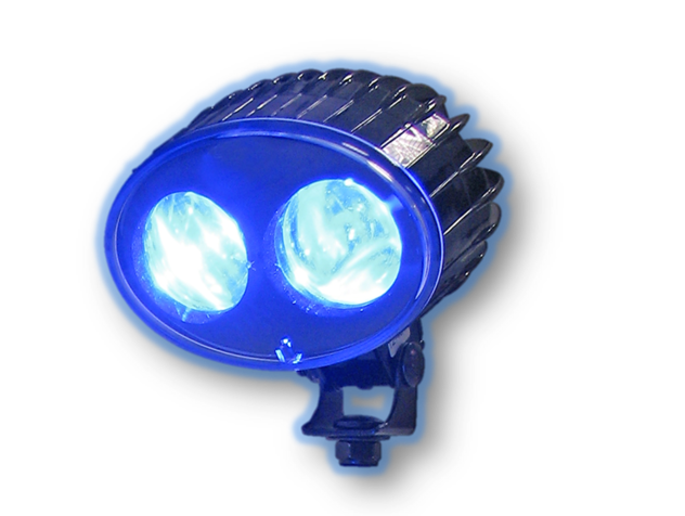 Safety blue light