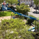 Genie S-60 DC Telescopic Boom Lift lifting workers to treeline.