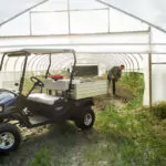 Cushman Hauler 1200X utility vehicle in greenhouse.