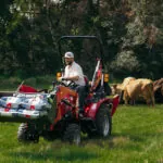 Mahindra 2100 Tractor in cattle farm field.