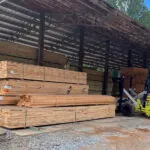 Donkey The Jack forklift picking up lumber.